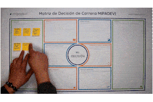 Ejemplo de llenado Matriz de Decisión de Carrera MIPADEVI